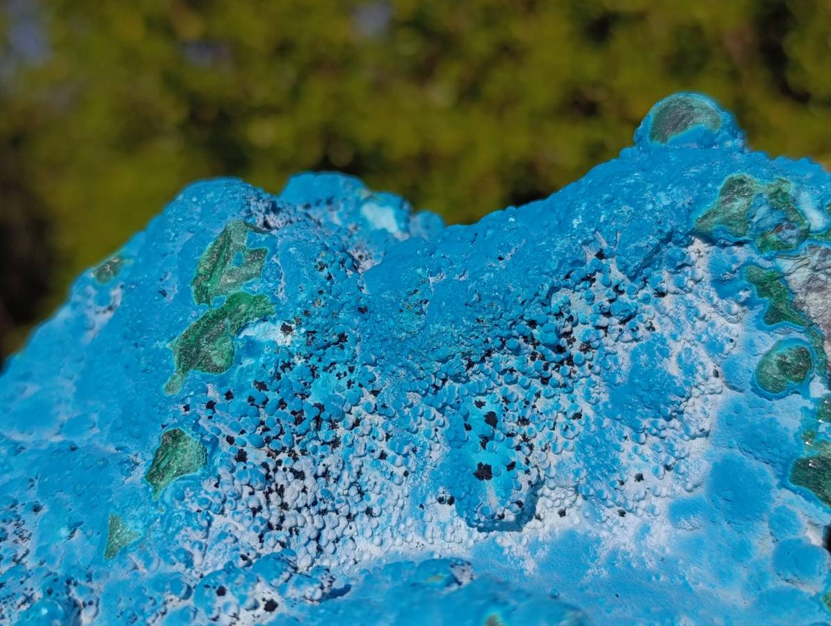 Natural Botryoidal Malacolla Specimen x 1 From Kulukuluku, Congo - Toprock Gemstones and Minerals 