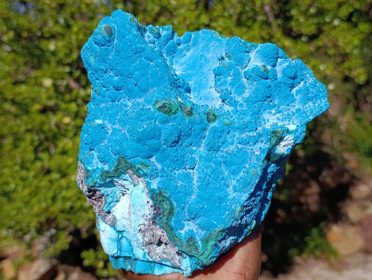 Natural Botryoidal Malacolla Specimen x 1 From Kulukuluku, Congo - Toprock Gemstones and Minerals 