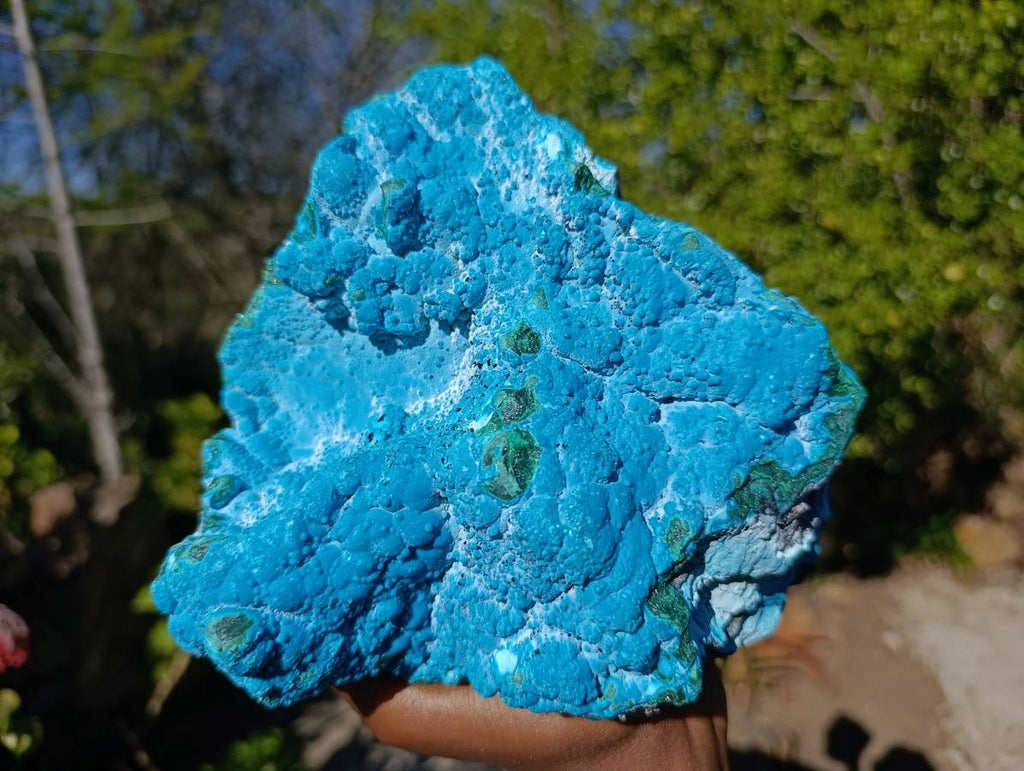 Natural Botryoidal Malacolla Specimen x 1 From Kulukuluku, Congo - Toprock Gemstones and Minerals 