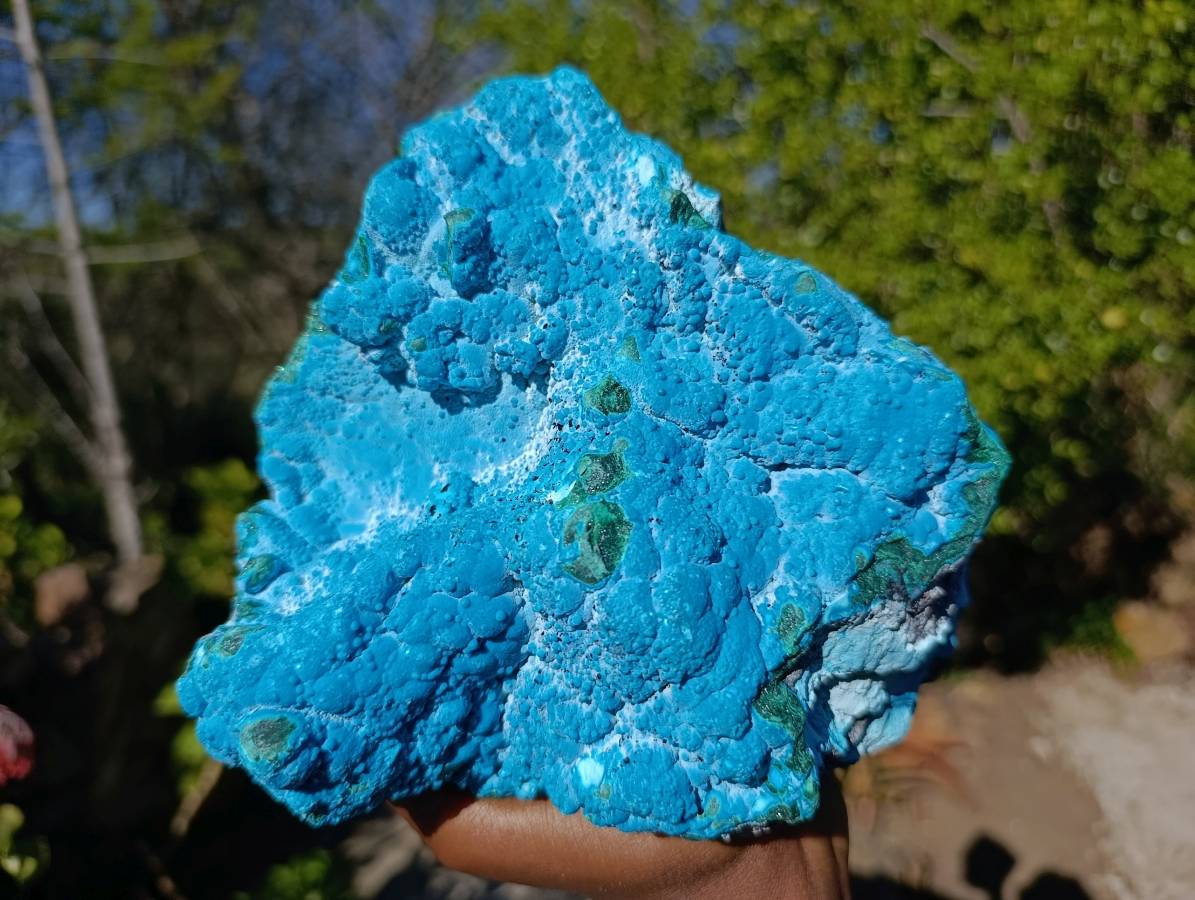 Natural Botryoidal Malacolla Specimen x 1 From Kulukuluku, Congo - Toprock Gemstones and Minerals 