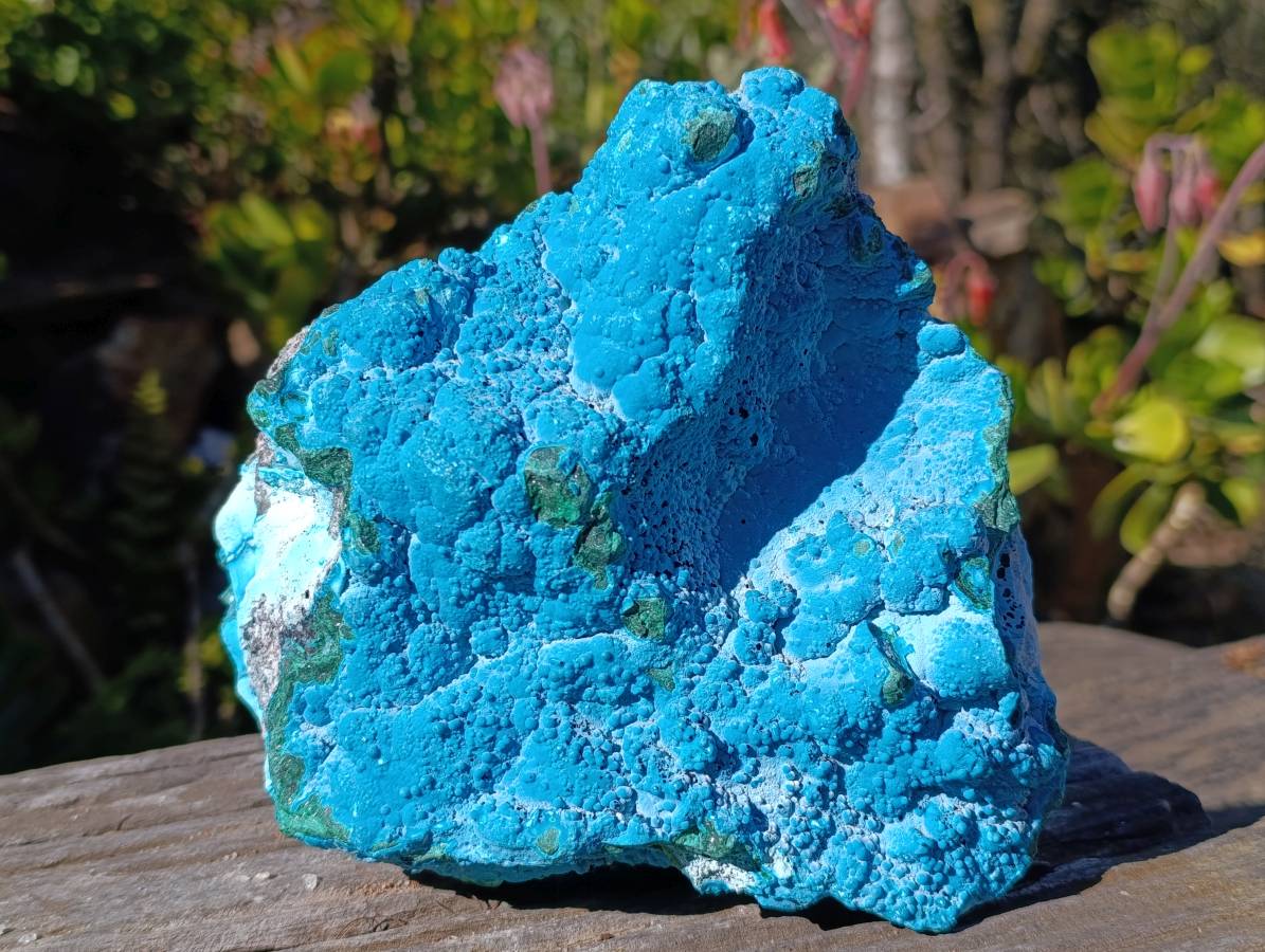 Natural Botryoidal Malacolla Specimen x 1 From Kulukuluku, Congo - Toprock Gemstones and Minerals 