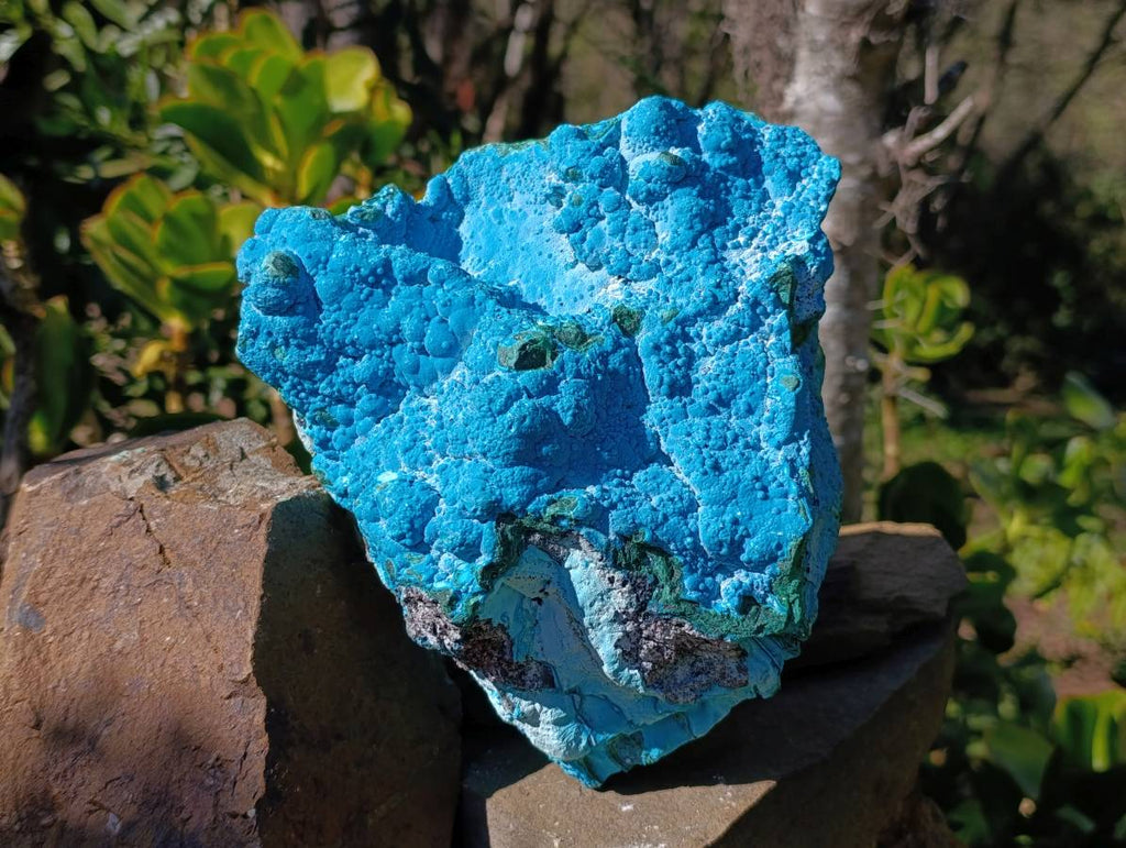 Natural Botryoidal Malacolla Specimen x 1 From Kulukuluku, Congo - Toprock Gemstones and Minerals 