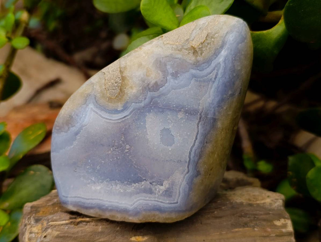 Polished Blue Lace Agate Standing Free Forms x 2 From Malawi - Toprock Gemstones and Minerals 