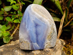 Polished Blue Lace Agate Standing Free Forms x 2 From Malawi - Toprock Gemstones and Minerals 