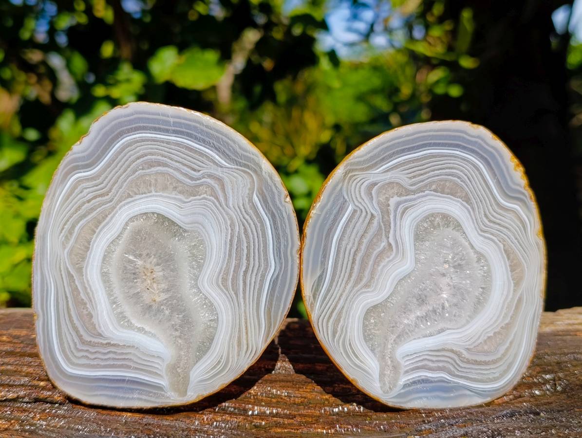 Polished Banded Agate Slices x 6 From Madagascar - Toprock Gemstones and Minerals 
