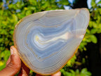 Polished Banded Agate Slices x 6 From Madagascar - Toprock Gemstones and Minerals 