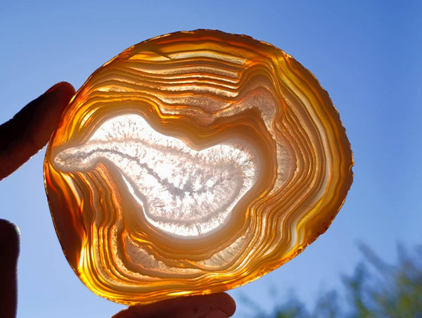 Polished Banded Agate Slices x 6 From Madagascar