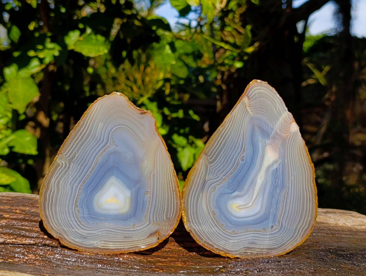 Polished Banded Agate Slices x 6 From Madagascar - Toprock Gemstones and Minerals 