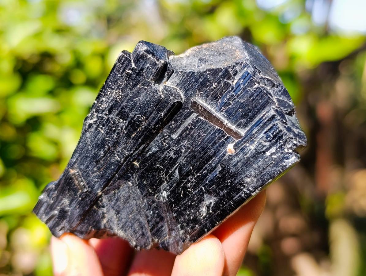 Natural Schorl Black Tourmaline Specimens x 6 From Erongo, Namibia - Toprock Gemstones and Minerals 