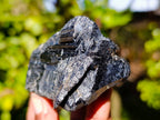 Natural Schorl Black Tourmaline Specimens x 6 From Erongo, Namibia - Toprock Gemstones and Minerals 