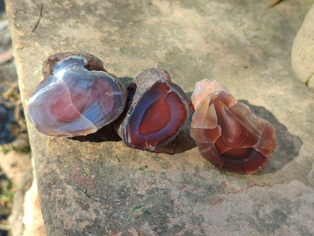 Polished On One Side Red Sashe River Agate Nodules x 20 From Zimbabwe - Toprock Gemstones and Minerals 