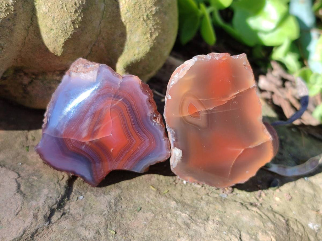 Polished On One Side Red Sashe River Agate Nodules x 20 From Zimbabwe - Toprock Gemstones and Minerals 