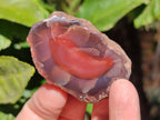 Polished On One Side Red Sashe River Agate Nodules x 20 From Zimbabwe - Toprock Gemstones and Minerals 