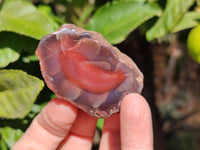 Polished On One Side Red Sashe River Agate Nodules x 20 From Zimbabwe - Toprock Gemstones and Minerals 