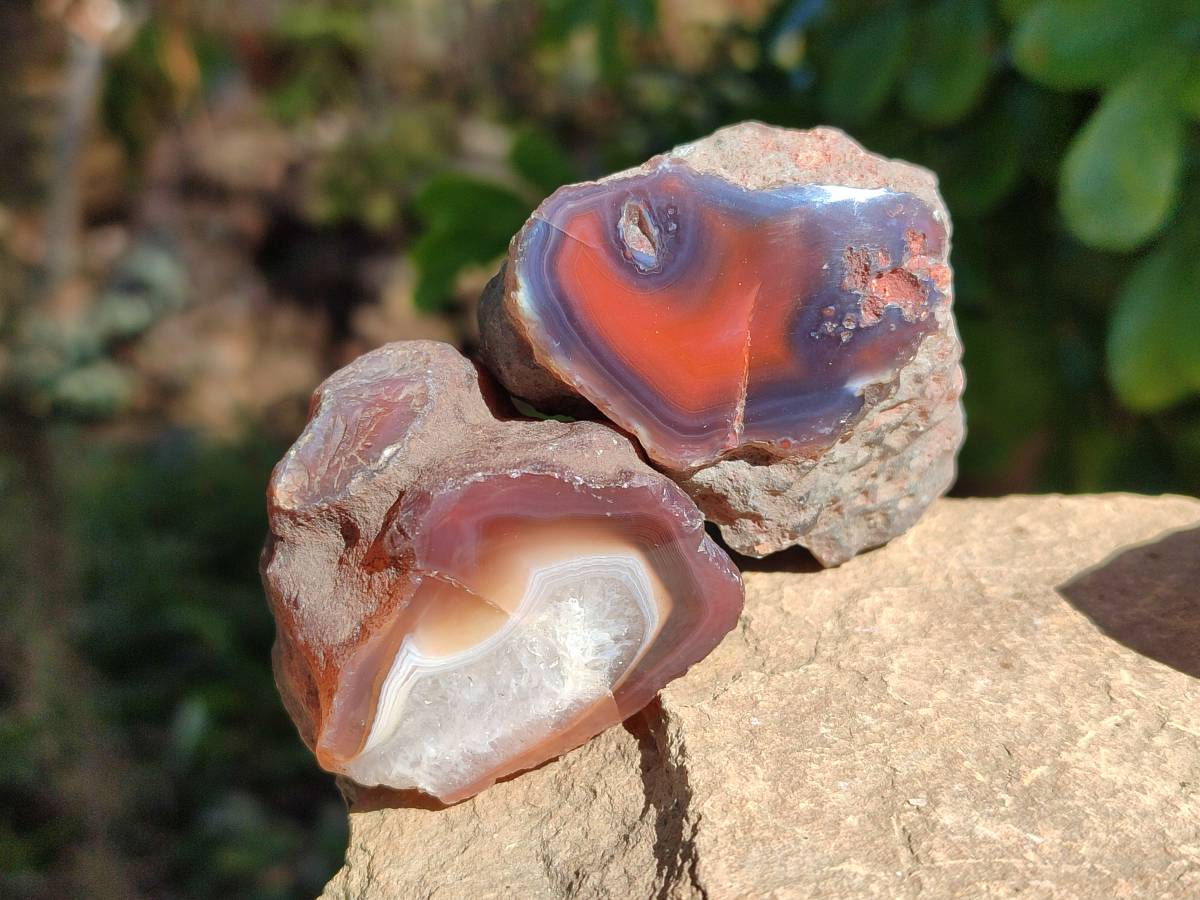 Polished On One Side Red Sashe River Agate Nodules x 20 From Zimbabwe - Toprock Gemstones and Minerals 