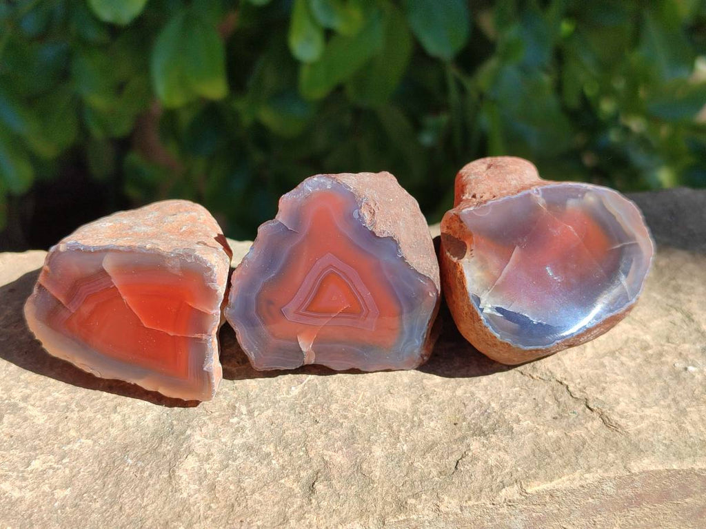 Polished On One Side Red Sashe River Agate Nodules x 20 From Zimbabwe - Toprock Gemstones and Minerals 