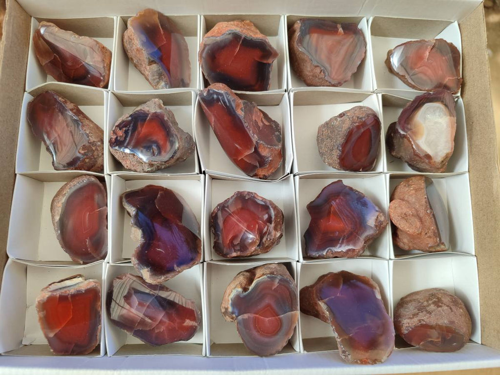 Polished On One Side Red Sashe River Agate Nodules x 20 From Zimbabwe - Toprock Gemstones and Minerals 