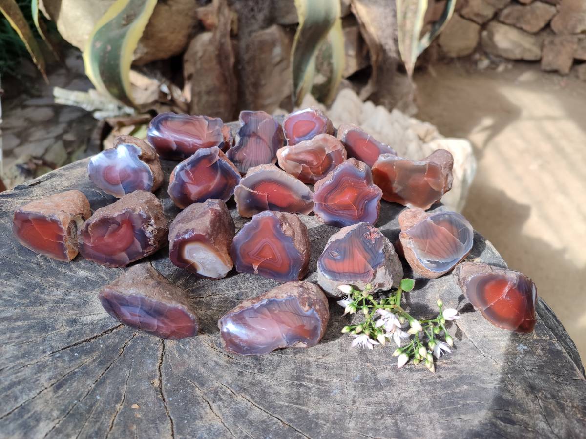 Polished On One Side Red Sashe River Agate Nodules x 20 From Zimbabwe - Toprock Gemstones and Minerals 