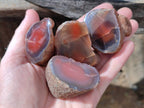 Polished On One Side Red Sashe River Agate Nodules x 20 From Zimbabwe - Toprock Gemstones and Minerals 