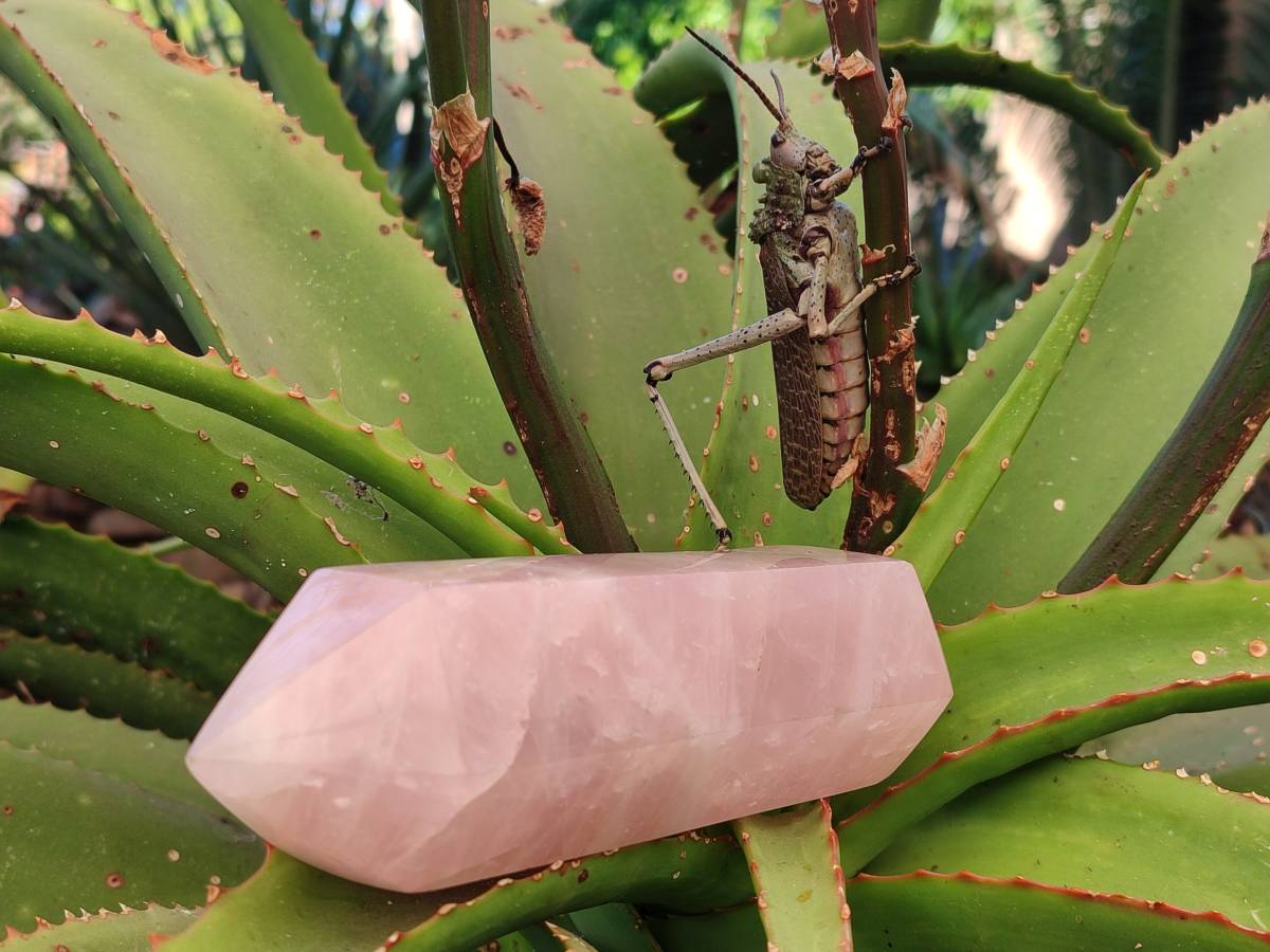 Polished Rose Quartz Double Terminated Points x 2 From Madagascar - Toprock Gemstones and Minerals 