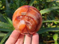 Polished Carnelian Agate Spheres x 3 From Madagascar - Toprock Gemstones and Minerals 