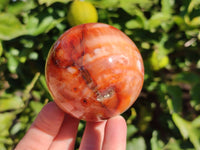 Polished Carnelian Agate Spheres x 3 From Madagascar - Toprock Gemstones and Minerals 