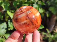 Polished Carnelian Agate Spheres x 3 From Madagascar - Toprock Gemstones and Minerals 