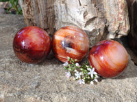 Polished Carnelian Agate Spheres x 3 From Madagascar - Toprock Gemstones and Minerals 