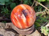 Polished Carnelian Agate Spheres x 3 From Madagascar - Toprock Gemstones and Minerals 