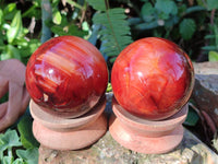 Polished Carnelian Agate Spheres x 3 From Madagascar - Toprock Gemstones and Minerals 