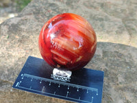 Polished Carnelian Agate Spheres x 3 From Madagascar - Toprock Gemstones and Minerals 