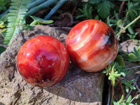 Polished Carnelian Agate Spheres x 3 From Madagascar - Toprock Gemstones and Minerals 