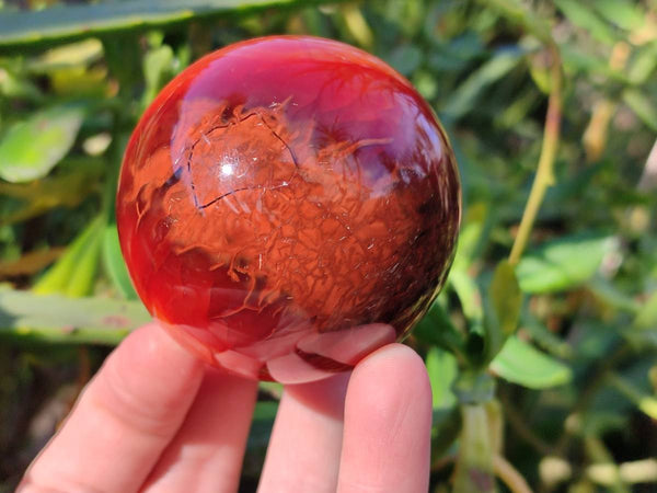 Polished Carnelian Agate Spheres x 3 From Madagascar - Toprock Gemstones and Minerals 
