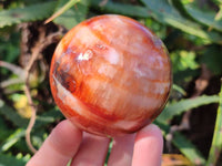 Polished Carnelian Agate Spheres x 3 From Madagascar - Toprock Gemstones and Minerals 