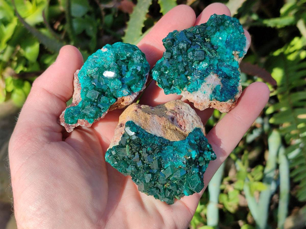 Natural Dioptase On Dolomite Specimens x 6 From Likasi, Congo - Toprock Gemstones and Minerals 