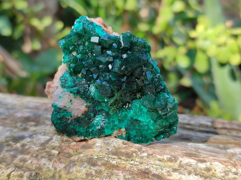 Natural Dioptase On Dolomite Specimens x 6 From Likasi, Congo - Toprock Gemstones and Minerals 