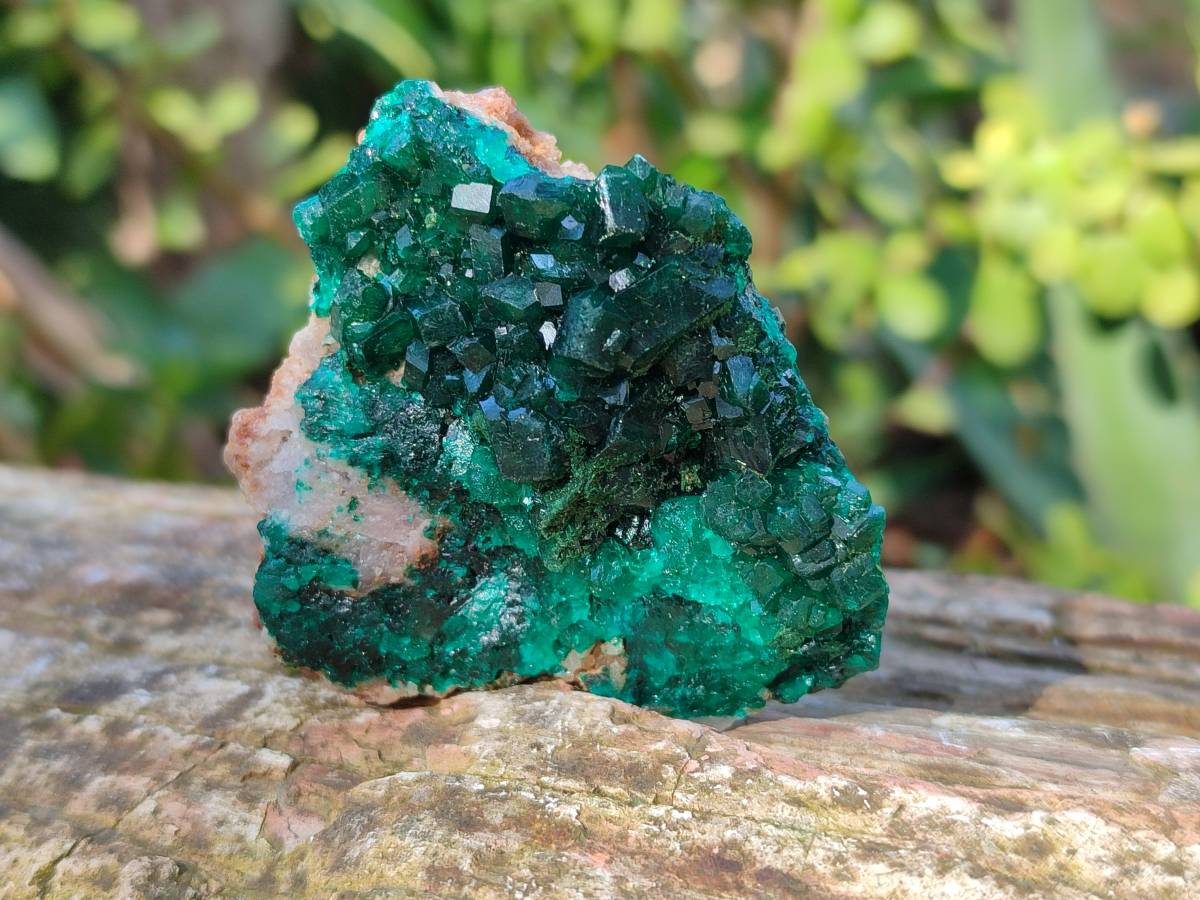 Natural Dioptase On Dolomite Specimens x 6 From Likasi, Congo - Toprock Gemstones and Minerals 