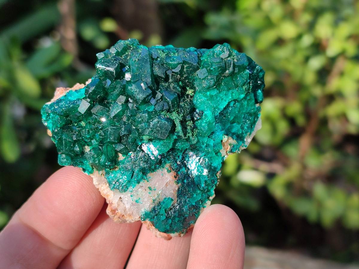 Natural Dioptase On Dolomite Specimens x 6 From Likasi, Congo - Toprock Gemstones and Minerals 