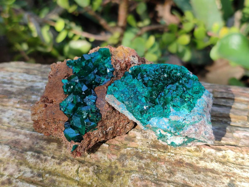 Natural Dioptase On Dolomite Specimens x 6 From Likasi, Congo - Toprock Gemstones and Minerals 