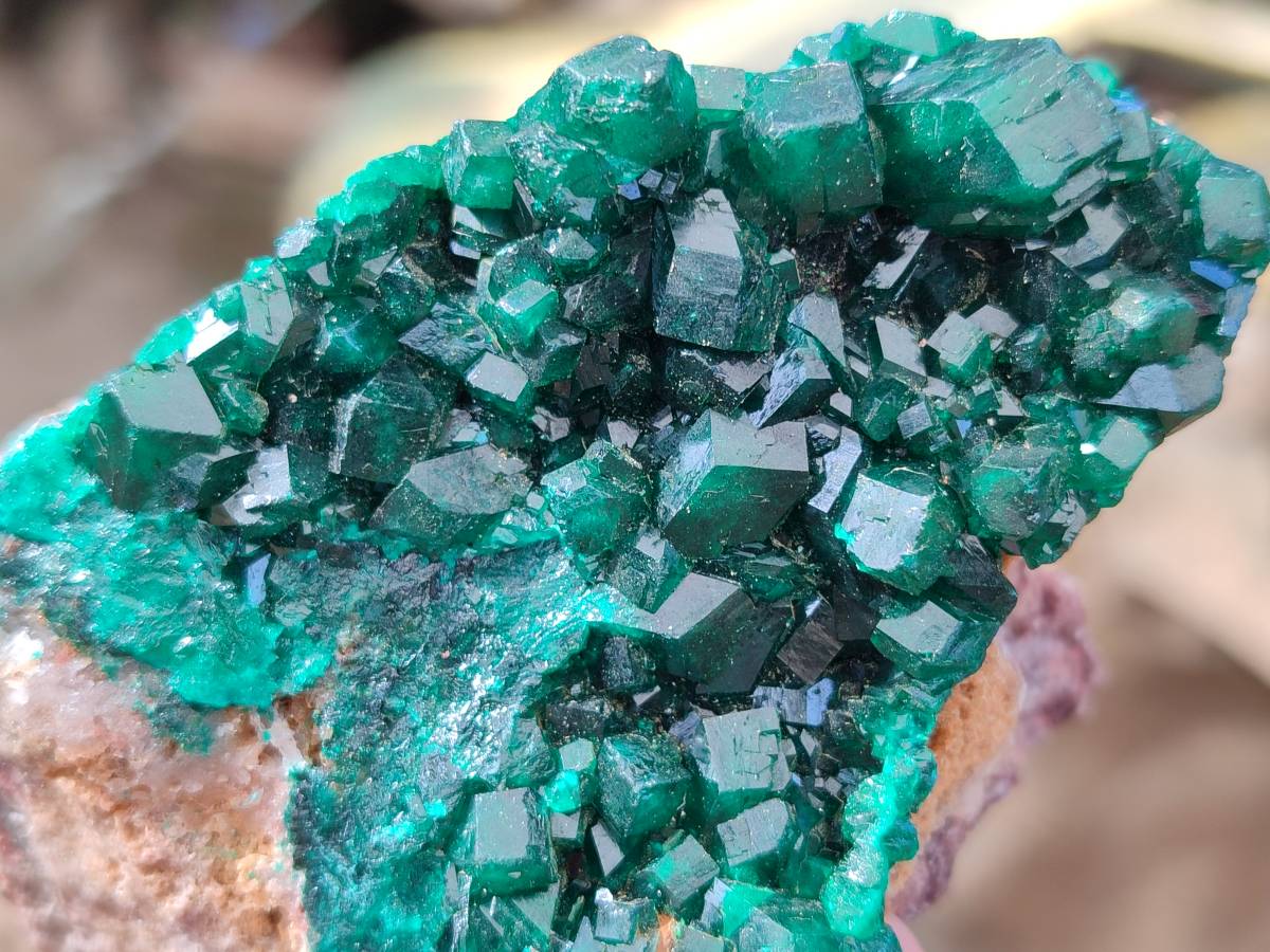 Natural Dioptase On Dolomite Specimens x 6 From Likasi, Congo - Toprock Gemstones and Minerals 