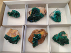Natural Dioptase On Dolomite Specimens x 6 From Likasi, Congo - Toprock Gemstones and Minerals 