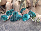 Natural Dioptase On Dolomite Specimens x 6 From Likasi, Congo - Toprock Gemstones and Minerals 