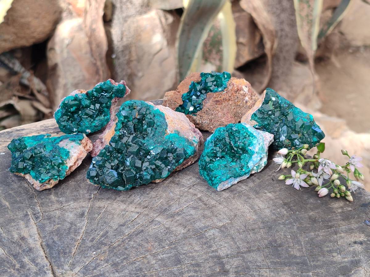 Natural Dioptase On Dolomite Specimens x 6 From Likasi, Congo - Toprock Gemstones and Minerals 