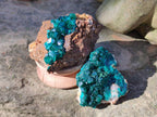Natural Dioptase On Dolomite Specimens x 6 From Likasi, Congo - Toprock Gemstones and Minerals 