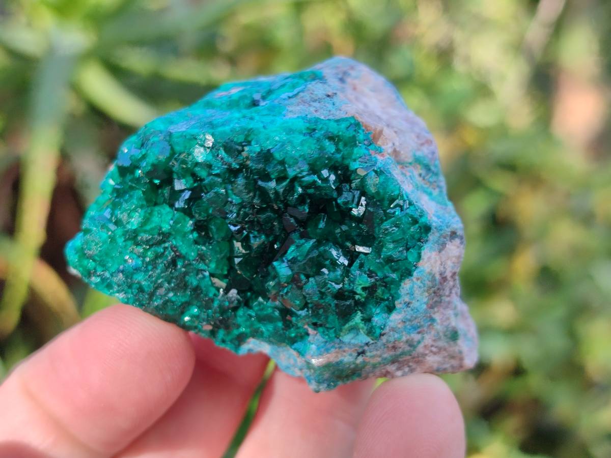 Natural Dioptase On Dolomite Specimens x 6 From Likasi, Congo - Toprock Gemstones and Minerals 