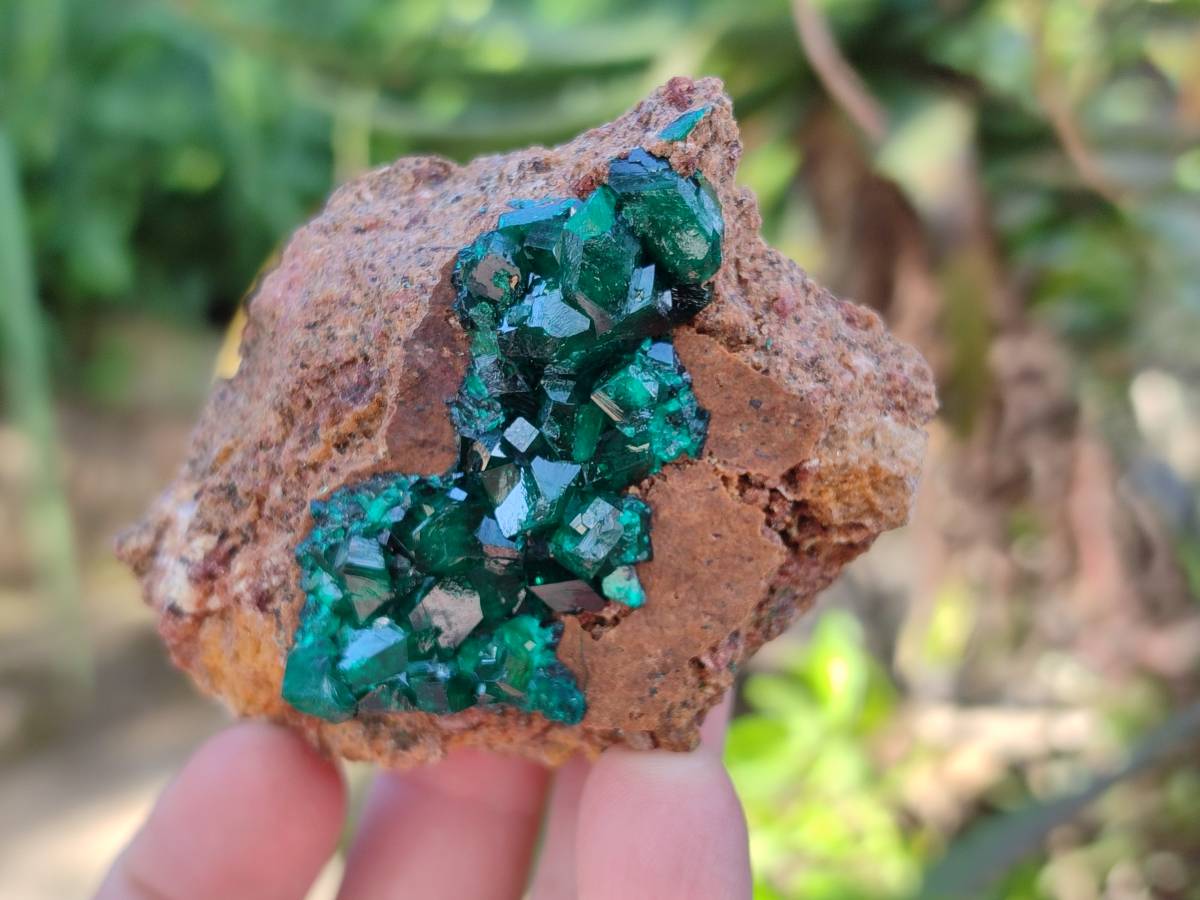 Natural Dioptase On Dolomite Specimens x 6 From Likasi, Congo - Toprock Gemstones and Minerals 
