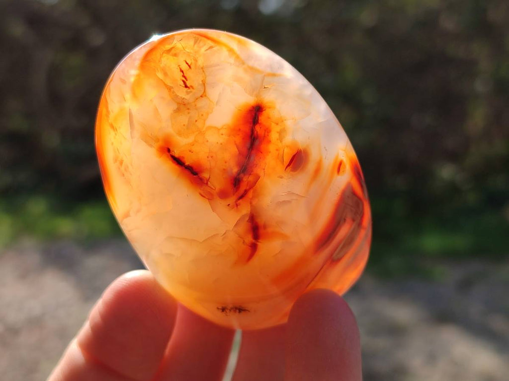Polished Carnelian Agate Standing Free Forms x 6 From Madagascar - Toprock Gemstones and Minerals 