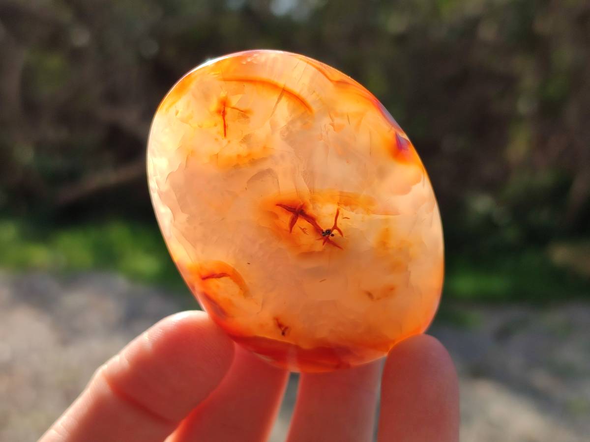Polished Carnelian Agate Standing Free Forms x 6 From Madagascar - Toprock Gemstones and Minerals 