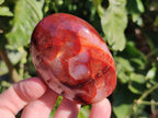 Polished Carnelian Agate Standing Free Forms x 6 From Madagascar - Toprock Gemstones and Minerals 