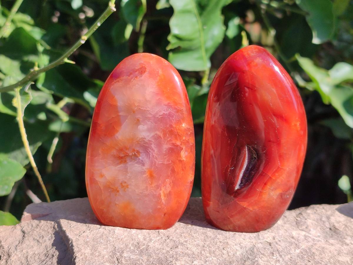 Polished Carnelian Agate Standing Free Forms x 6 From Madagascar - Toprock Gemstones and Minerals 